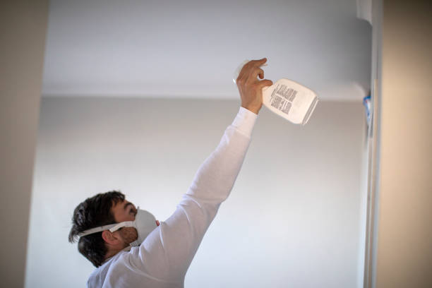 Best Certified Mold Removal  in Radcliff, KY