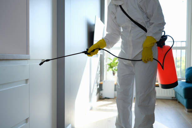 Home Mold Removal in Radcliff, KY