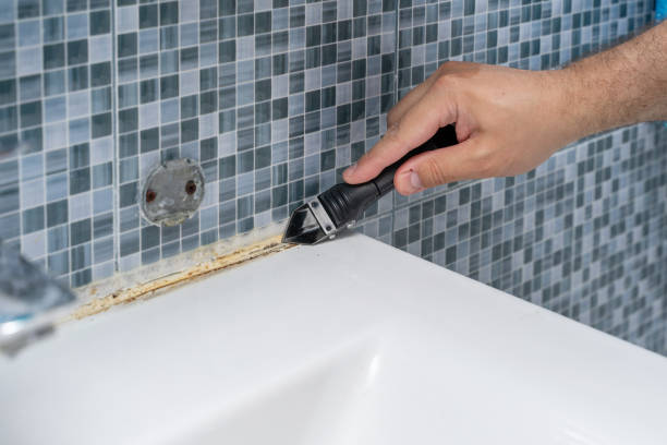 Mold Removal and Inspection in Radcliff, KY
